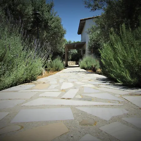 Διαμέρισμα Asklipion Valley