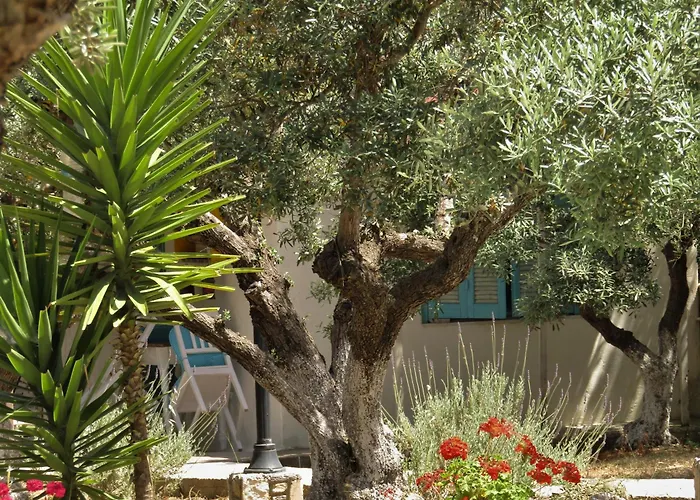 Διαμέρισμα Asklipion Valley Κως Πόλη