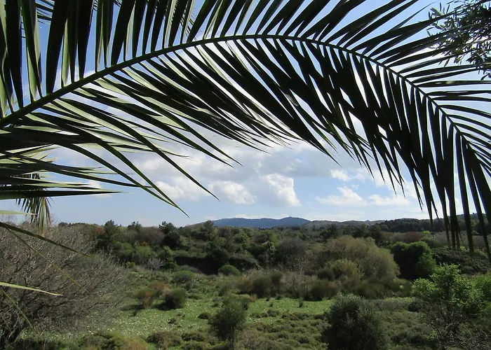 Διαμέρισμα Asklipion Valley Κως Πόλη