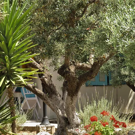Apartmán Asklipion Valley Kos