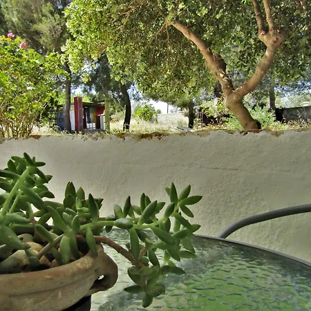 Asklipion Valley * Kos-stad